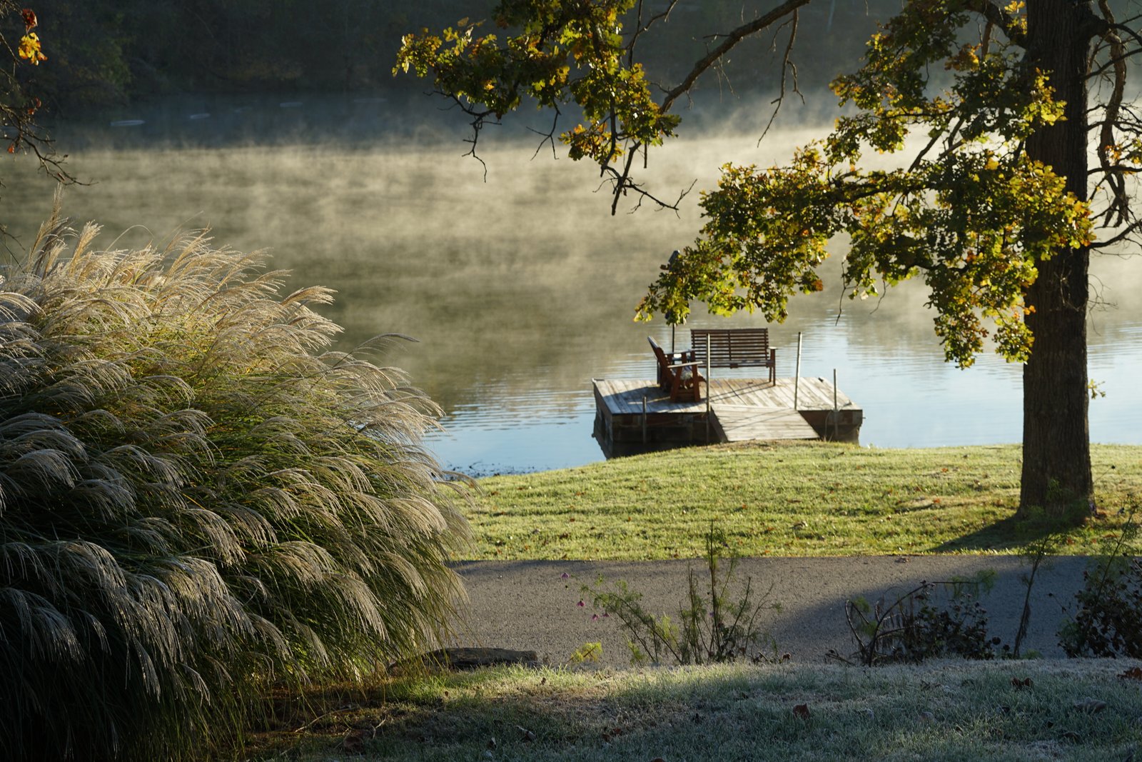 Morning mist over the lake at Lake of the Forest