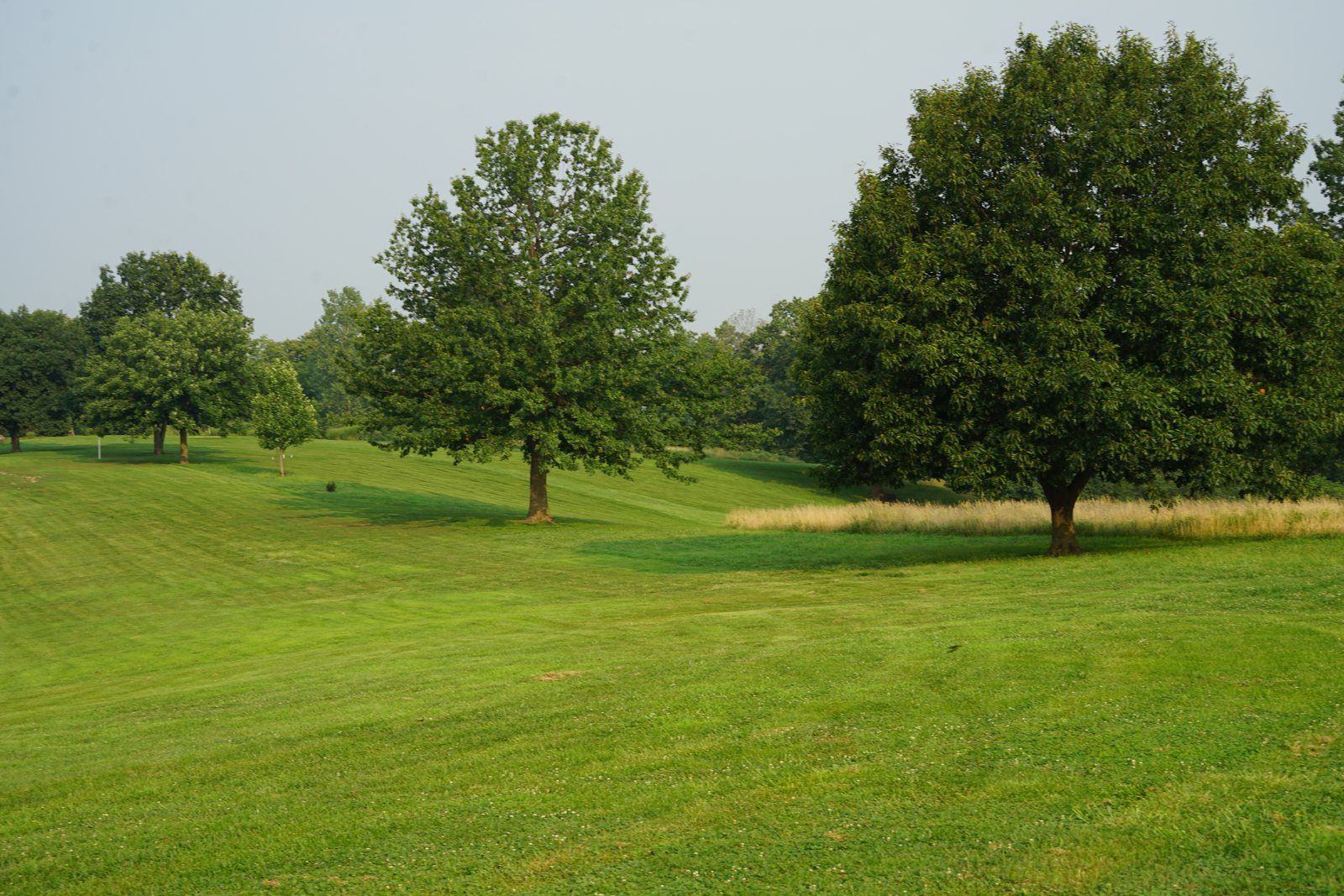 Golf course at Lake of the Forest