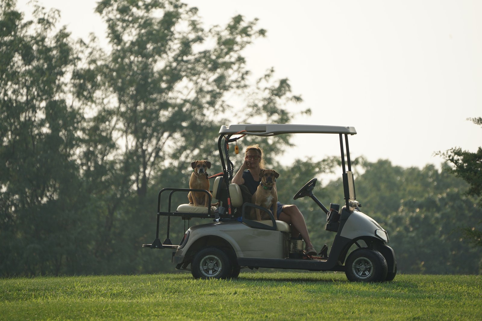 Golf cart at Lake of the Forest