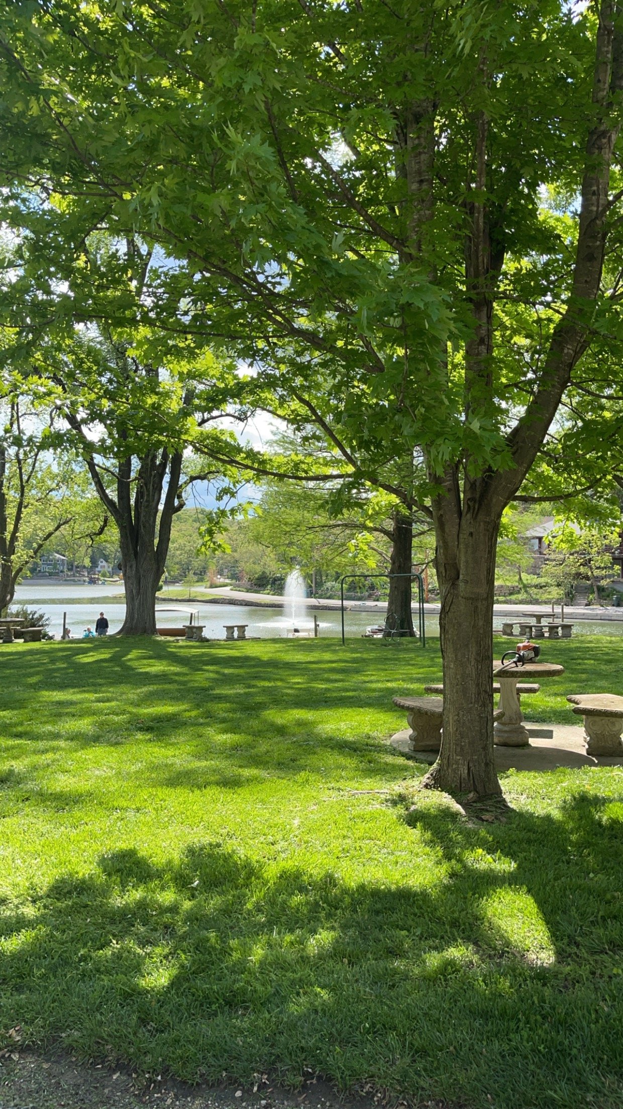 Park at Lake of the Forest